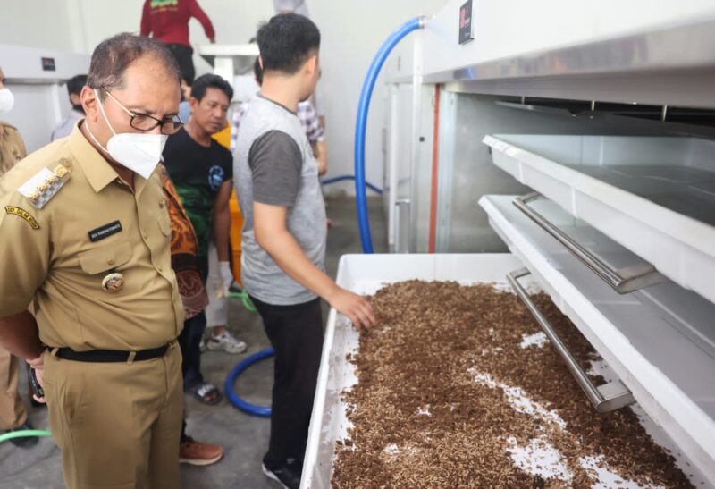 Wali Kota Makassar Danny Pomanto kunjungi uji teknologi food waste bank based on BSF Breeding Technologi di Wilayah Bank Sampah yang diperlihatkan langsung oleh tim Entomo.co di Paccerakkang, Senin (30/05/2022).