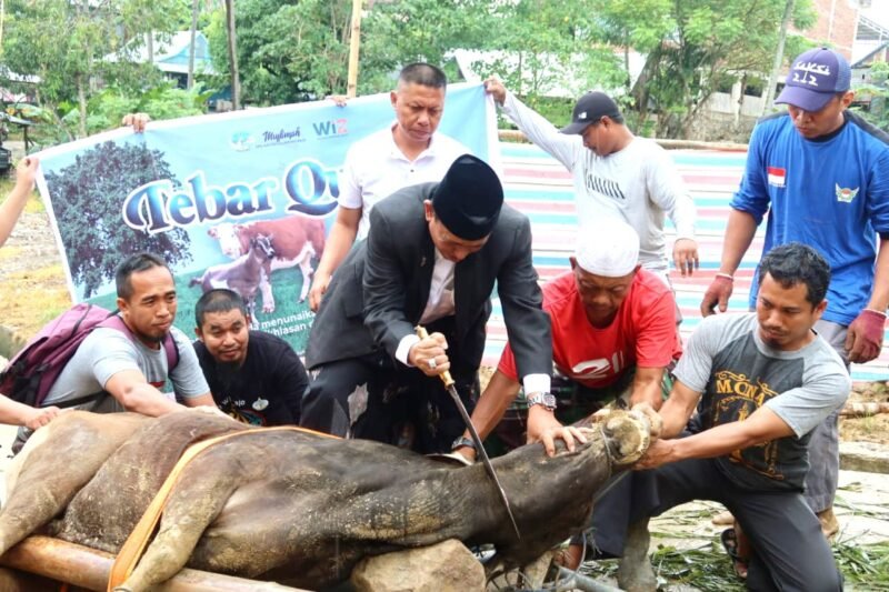 Hewan Qurban