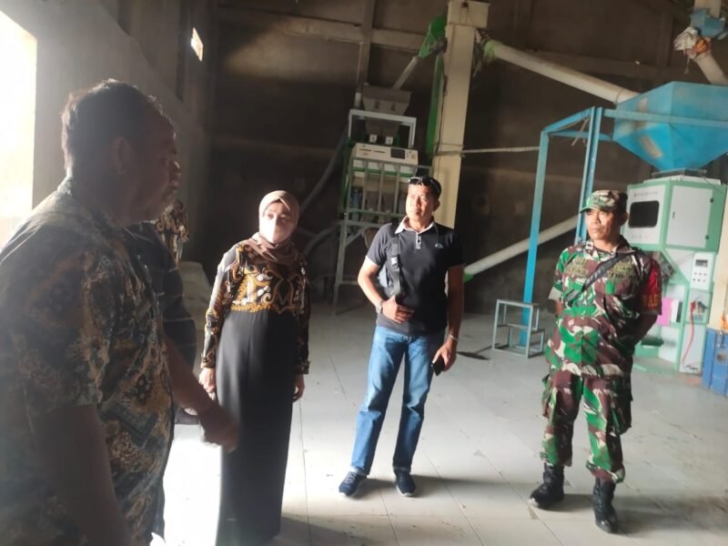 Kanit Reskrim Polsek Belawa Polres Wajo IPDA Harpin,S.Sos mendampingi Ketua Korcab Bulog Kab. Wajo Karmila ke pabrik penggilingan beras milik  H. Muh. Nasir, Kamis (1/12/2022).