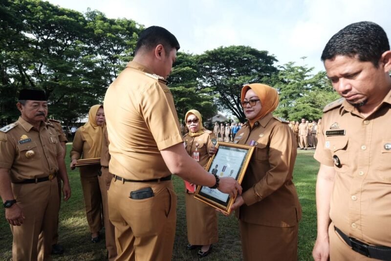 Bupati Gowa, Adnan Purichta Ichsan menyerahkan Piagam penghargaan dan lencana kepada 34 Kepala Desa yang berlangsung di Lapangan Upacara Kantor Bupati Gowa, Senin (02/01/2023)