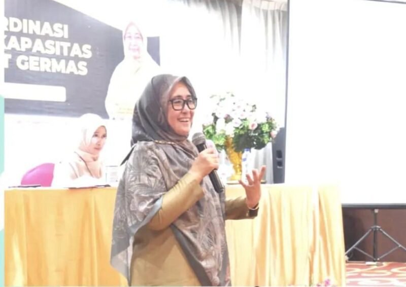 Kepala Dinas Kesehatan Provinsi Sulawesi Selatan, Rosmini Pandin