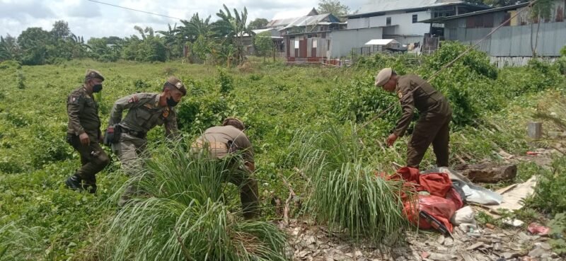 Personil Satpol PP saat melakukan proses eksekusi badan jalan oleh di Jl Macan IV, Kelurahan Tempe, Kecamatan Tempe, Kabupaten Wajo, Sulawesi Selatan, Kamis (12/1/2023)