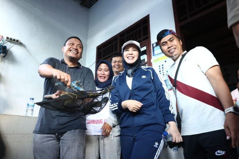 Wakil Wali Kota Makassar, Fatmawati Rusdi didampingi Kepala Dinas Ketahanan Pangan, Mahyuddin memanen Lobster air tawar di Lorong Wisata Houston Cendana, Jalan Tanjung Lereh, Kecamatan Mamajang, Sabtu (11/03/2023)