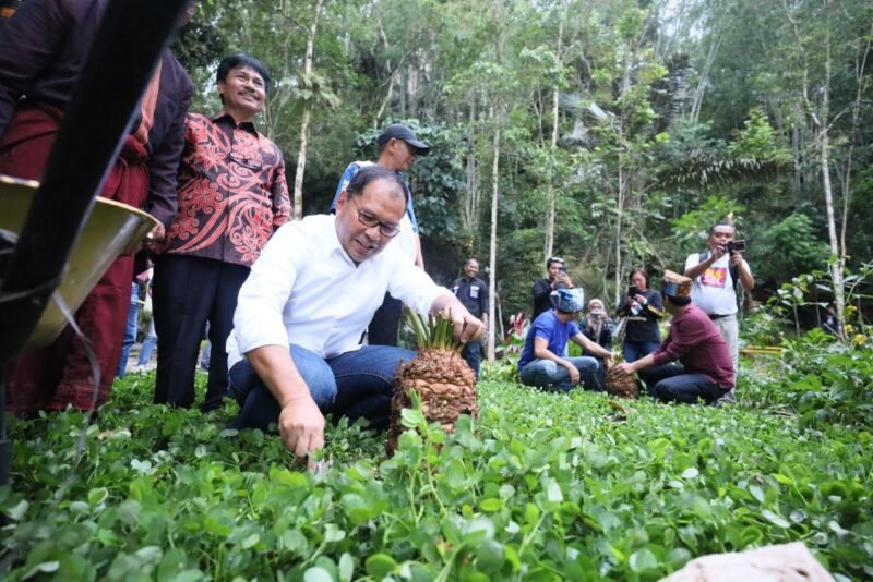 Wali Kota Makassar, Danny Pomanto dan masyarakat Toraja tanam pohon di Wisata Sa'pak Bayo-bayo Sangalla' , Rabu (15/03/2023)