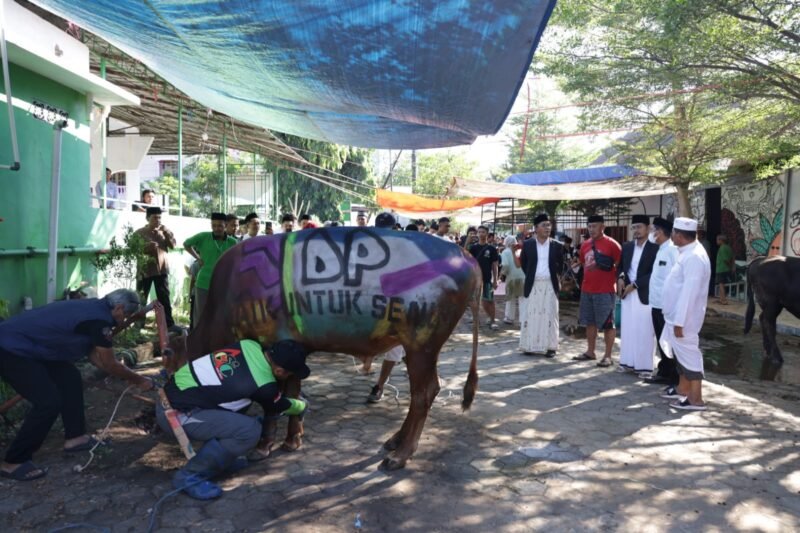 Wali Kota Makassar Moh Ramdhan Pomanto menyaksikan pemotongan hewan kurban dan menggelar open house di kediamannya Jl Amirullah, Kamis, (29/06/2023)
