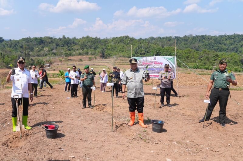 Penjabat Gubernur Sulsel, Bahtiar Baharuddin, mengajarkan para petani di Enrekang  mengembangkan bibit pisang cavendish di Desa Ongko, Kecamatan Maiwa, Kabupaten Enrekang, Rabu (08/11/2023)