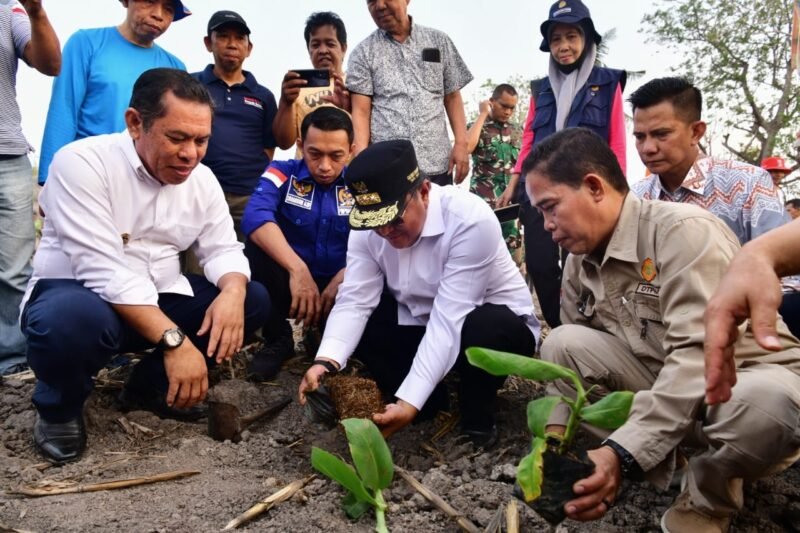 Penjabat Gubernur Sulsel Bahtiar Baharuddin, Wakil Ketua DPRD Sulsel Syaharuddin Alrif, Penjabat Sekprov Sulsel Andi Muhammad Arsjad, dan Wakil Bupati Sidrap Mahmud Yusuf, melakukan penanaman pisang di Kampung Datae, Kelurahan Lawawoi, Kecamatan Watang Pulu, Kabupaten Sidrap, Sabtu, 11 November 2023