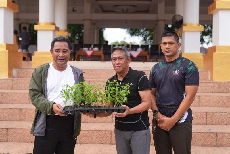Pj Gubernur Sulawesi Selatan, Bahtiar Baharuddin menyerahkan bantuan bibit cabai kepada Pemkab dan Masyarakat Bone di Lapangan Merdeka, Minggu (26/11/2023)