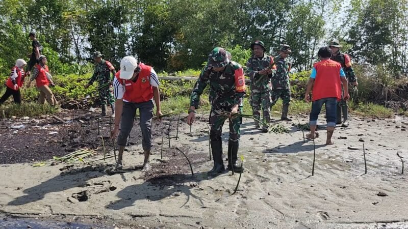 Forum Pemuda Wajo (FPW) menggandeng Koramil 1406-10/Pitumpanua dan Polsek Pitumpanua melakukan penanaman mangrove di Lingkungan Adinge, Kelurahan Tobarakka, Kecamatan Pitumpanua, Sabtu (25/1/2025)