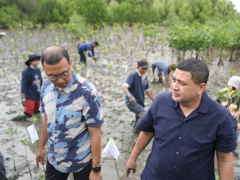 Wali Kota Makassar, Munafri Arifuddin, menghadiri kegiatan penanaman mangrove di kawasan wisata mangrove Dermaga A, Kelurahan Untia, Kecamatan Biringkanaya, Minggu (1/6/2025)