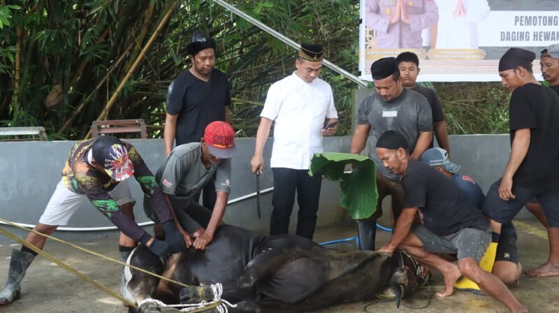 Polres Wajo melaksanakan kegiatan pemotongan dan penyaluran hewan kurban dalam rangka peringatan Hari Raya Iduladha 1446 H / 2025 M, pada Jumat (6/6/2025)