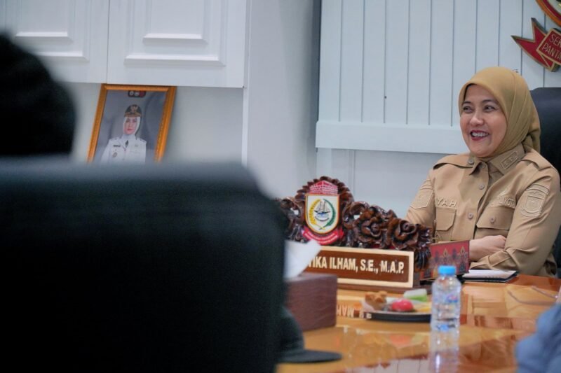 Wakil Wali Kota Makassar, Aliyah Mustika Ilham