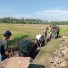 Koramil 1406-08/Sabbangparu yang dipimpin oleh Serma Zulkifli melaksanakan kegiatan Karya Bakti pembersihan dan perbaikan saluran irigasi di Kelurahan Sompe, Kecamatan Sabbangparu, Kabupaten Wajo, pada Rabu (19/11/2025)