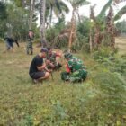 Koramil 1406-05/Majauleng yang dipimpin oleh Pelda Umar bersama masyarakat melaksanakan kegiatan Karya Bhakti penanaman pohon jati putih dan alpukat di Kelurahan Limpomajang, Kecamatan Majauleng, Kabupaten Wajo, Selasa (20/1/2026)