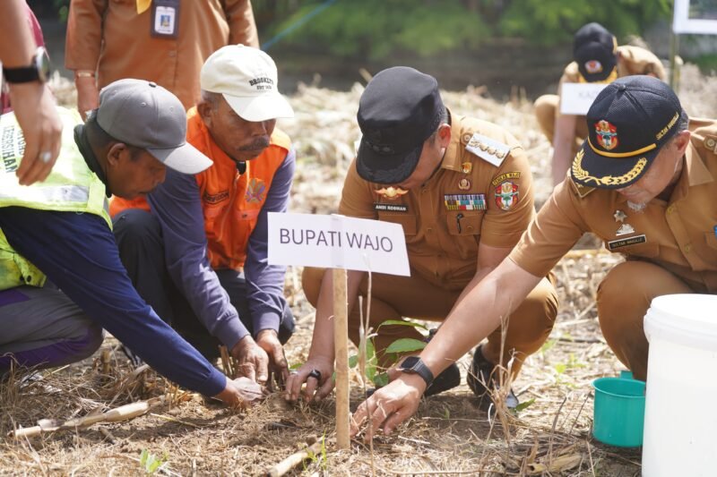 Bupati Wajo melakukan penanaman pohon di Taman Padduppa dan RTH Callaccu Sengkang, Senin (26/1/2026)