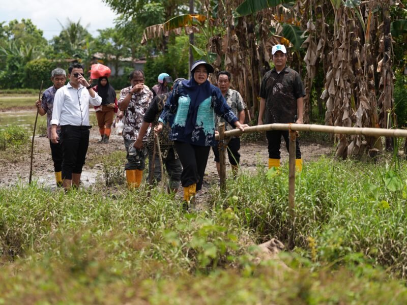 Kepala Dinas Pekerjaan Umum (PU) Kota Makassar, Zuhaelsi Zubir, bersama tim Bidang Jalan dan Jembatan, meninjau langsung lokasi rencana pembangunan perluasan jalan di Romang Tangayya, Kecamatan Manggala, Kamis (12/2/2026)