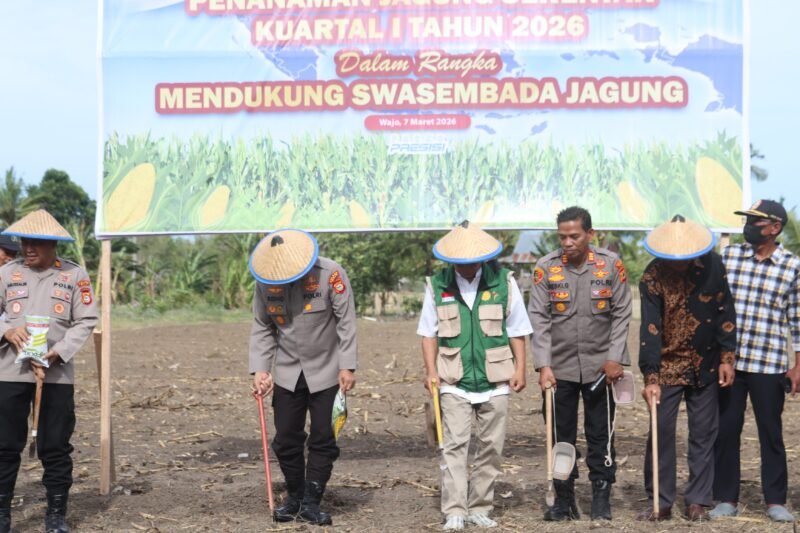 Polres Wajo melaksanakan aksi penanaman jagung serentak Kuartal I Tahun 2026 yang dipusatkan di lahan ketahanan pangan Mapolsek Sabbangparu, Sabtu (7/3/2026) sore