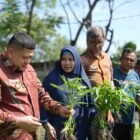 Wali Kota Makassar, Munafri Arifuddin melakukan kunjungan di dia titik lokasi pengembangan urban farming, Kamis (30/4/2026)