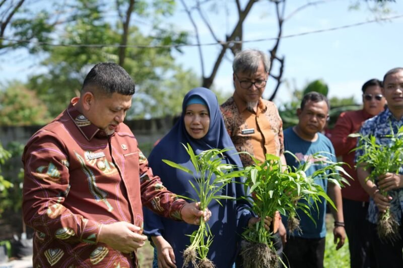 Wali Kota Makassar, Munafri Arifuddin melakukan kunjungan di dia titik lokasi pengembangan urban farming, Kamis (30/4/2026)