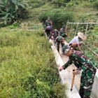 Koramil 1406-10/Pitumpanua dipimpin oleh Sertu Karman melaksanakan kegiatan Karya Bhakti pembersihan jaringan tersier pengairan sawah bersama masyarakat Desa Bulusiwa, Kecamatan Pitumpanua, Kabupaten Wajo, pada Senin (18/5/2026)