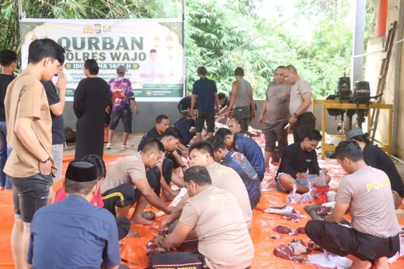 Kepolisian Resor (Polres) Wajo menggelar kegiatan pemotongan dan penyaluran hewan kurban. Kegiatan ini dipusatkan di area parkir kendaraan dinas Mapolres Wajo pada Rabu (27/5/2026) pagi