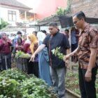 Wali Kota Makassar, Munafri Arifuddin, didampingi Ketua TP PKK Kota Makassar, Melinda Aksa, melakukan kunjungan ke lokasi Urban Farming sekaligus panen bersama warga di Kelurahan Tammua, Kecamatan Tallo, Jumat (19/6/2026)