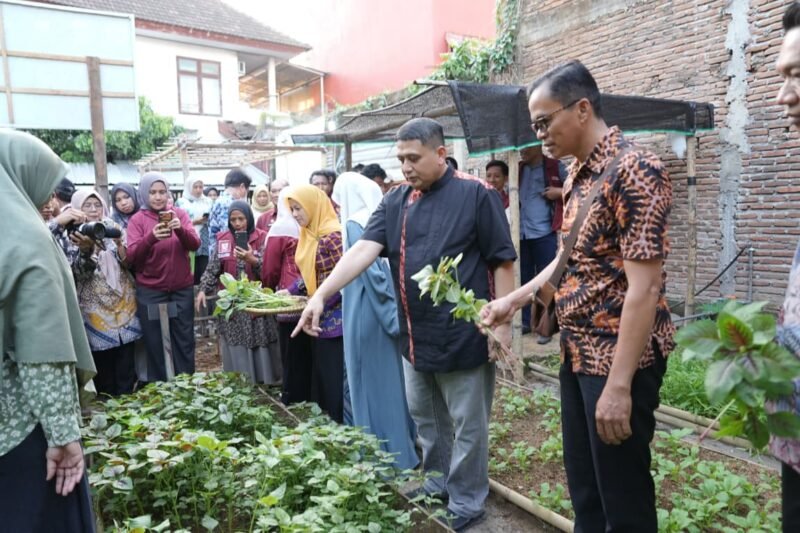 Wali Kota Makassar, Munafri Arifuddin, didampingi Ketua TP PKK Kota Makassar, Melinda Aksa, melakukan kunjungan ke lokasi Urban Farming sekaligus panen bersama warga di Kelurahan Tammua, Kecamatan Tallo, Jumat (19/6/2026)