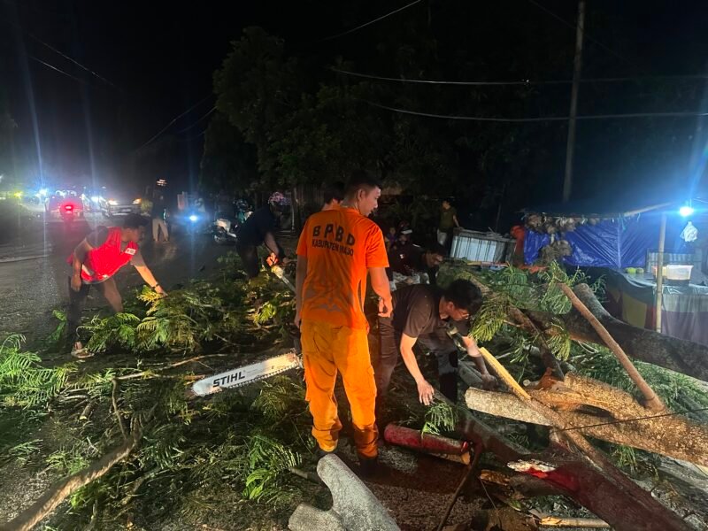 Tim terpadu Kab. Wajo saat melakukan evakuasi Pohon berukuran besar yang tumbang dan melintang di tengah badan jalan di Jalan Kartika Chandra Kirana, Kelurahan Maddukelleng, Kecamatan Tempe, Kamis malam (2/7/2026)