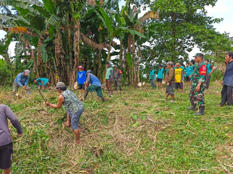 Koramil 1406-02/Tanasitolo yang dipimpin langsung oleh Danramil Letda Inf. Irman Ahmad, menggelar aksi Karya Bhakti terpadu di Desa Tancung, Kecamatan Tanasitolo, Kabupaten Wajo, pada Rabu (15/7/2026)