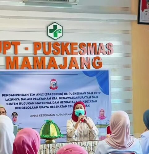 Pendampingan oleh tim ahli kepada puskesmas dan Fasilitas Kesehatan Tingkat Pertama (FKTP) di Aula Puskesmas Mamajang, Kamis (02/7/2026)