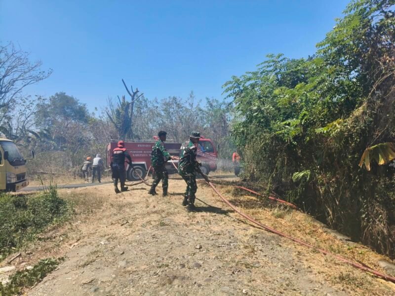 Sinergi cepat ditunjukkan oleh jajaran TNI bersama Satuan Polisi Pamong Praja (Satpol PP), Dinas Pemadam Kebakaran (Damkar), serta masyarakat setempat dalam menjinakkan insiden kebakaran rumput